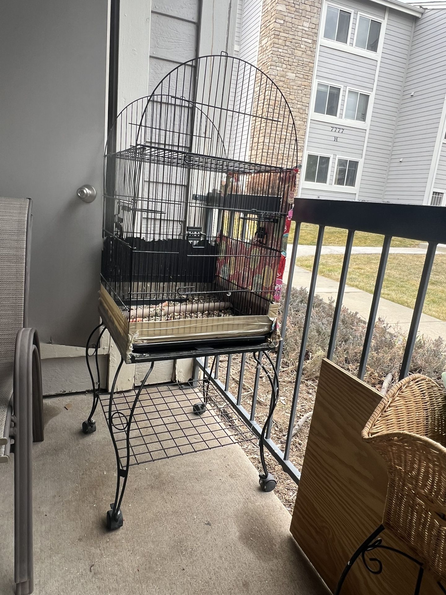 Small Animals, Birds Cage