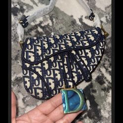Dior Mini Saddle 