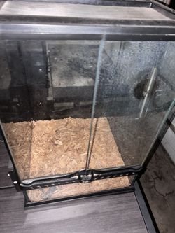 terrarium