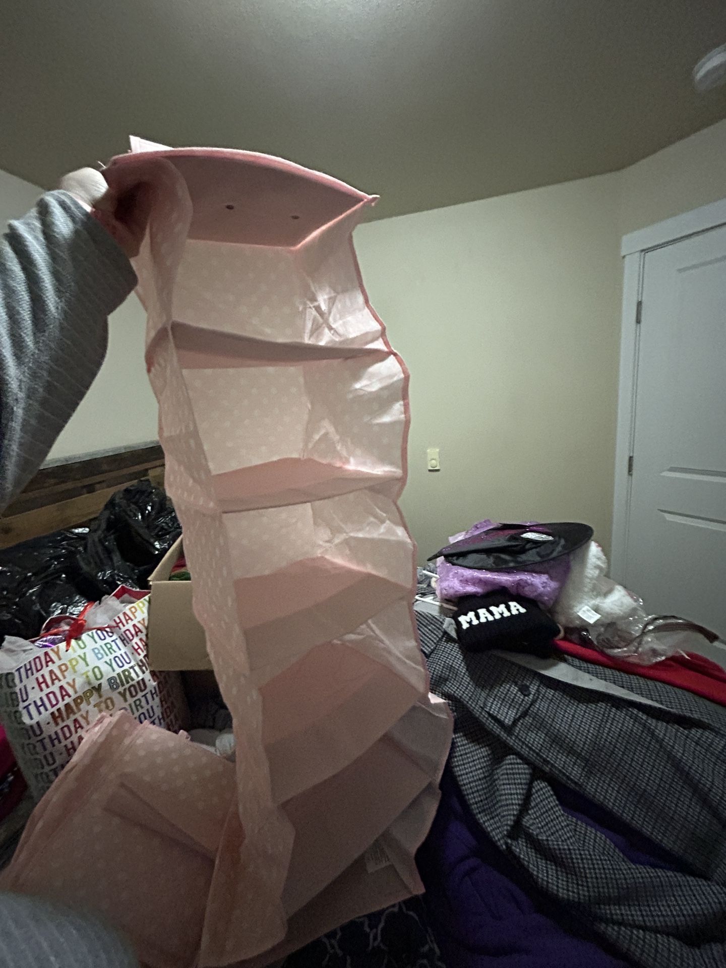 Two Pink Closet Storage