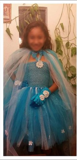 Frozen Elsa tutu dress costume