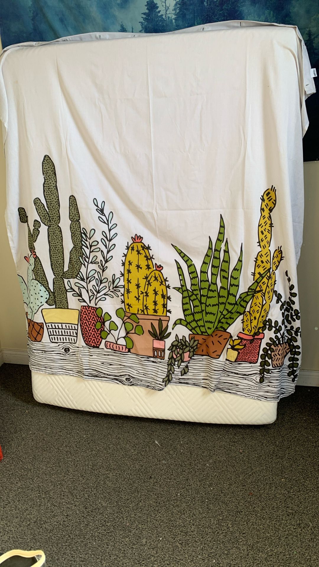 Bathroom Succulent Shower Curtain