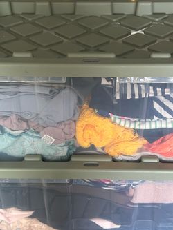 Women's clothing