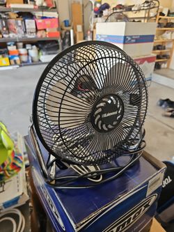 2 fans, approximately 15 inch