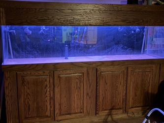 240 gallon acrylic fish tank tank is empty . No scratches