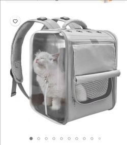 Cat backpack  carrier