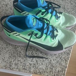 Men Nike Pegasus Trail Sz 13