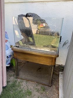 Fish Tank on Stand