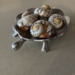 Turtle Dish With Conch Shells