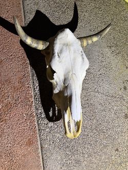 Cow Decoration