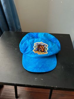 Vintage Camel Hat