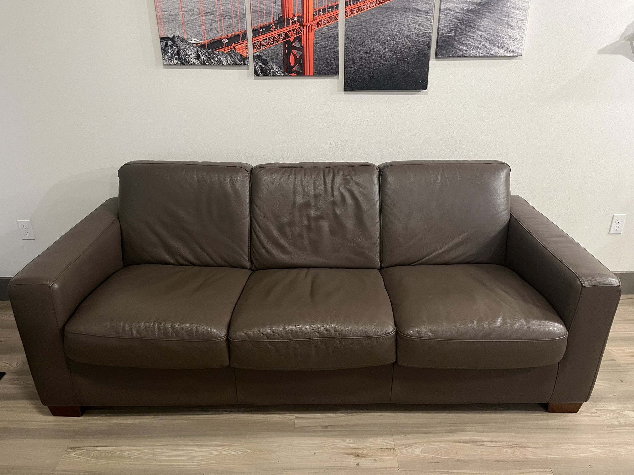 Natuzzi Editions Brown Leather Sleeper Sofa