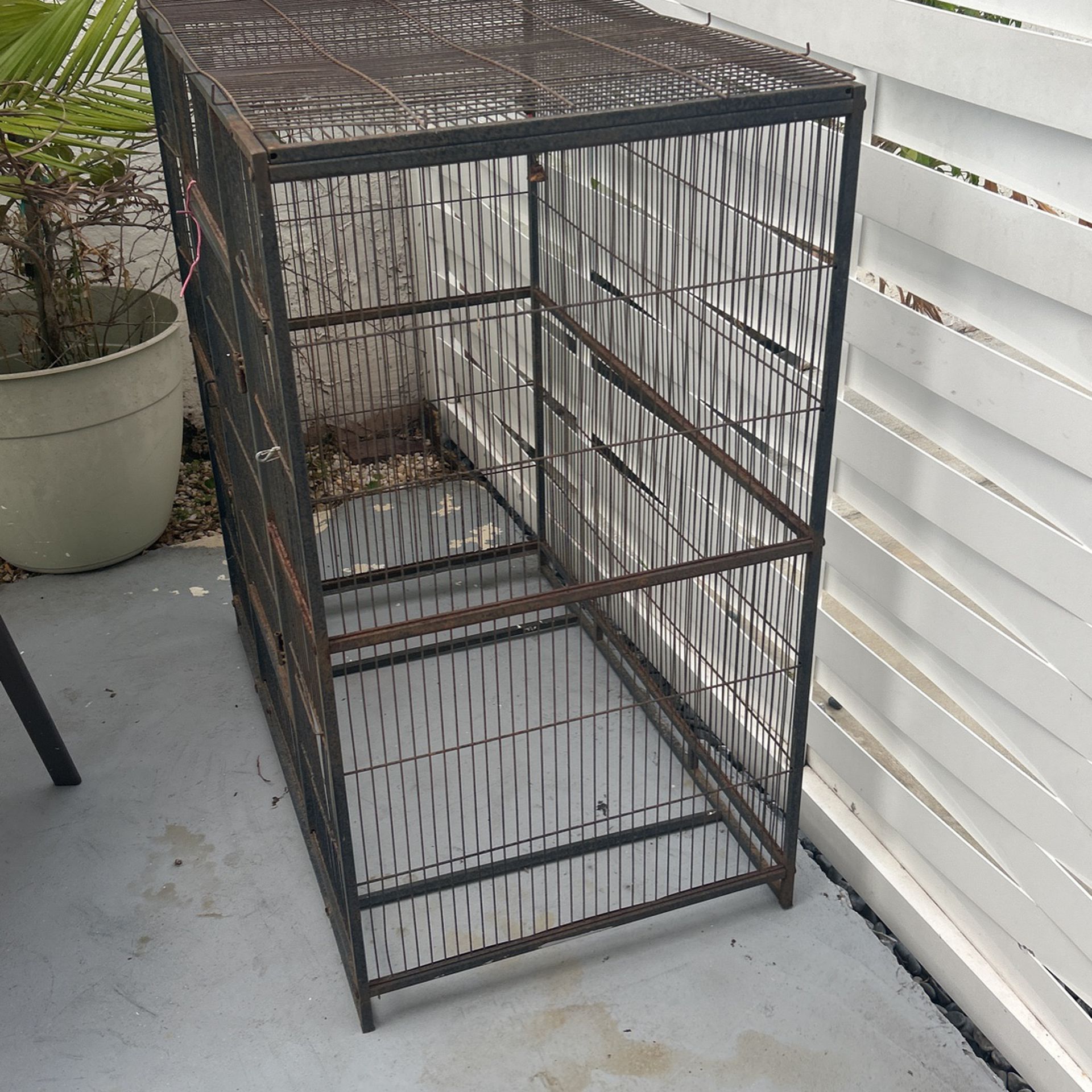 Big Cage For Parrots 