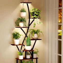Plant Stand Indoor with Grow Lights 64" Tall Plant Shelf with Wheel Lighted Corner Plant Stands
