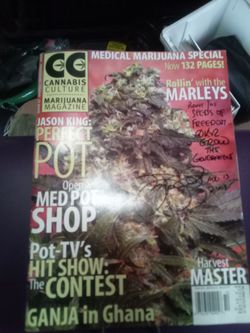 Cannabis culture