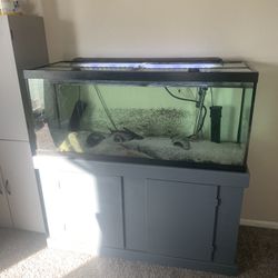 75 Gallon Tank 