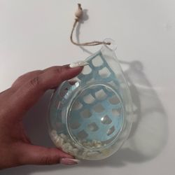 Air Plant Hanging Holder