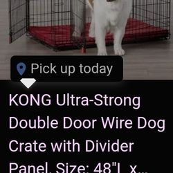 Dog Crate 