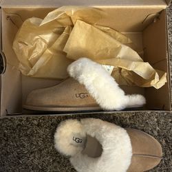 Brand New Uggs 