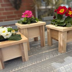Mini Cedar Planter Trio 
