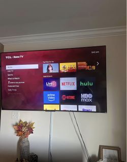 65 Inch Roku Tv