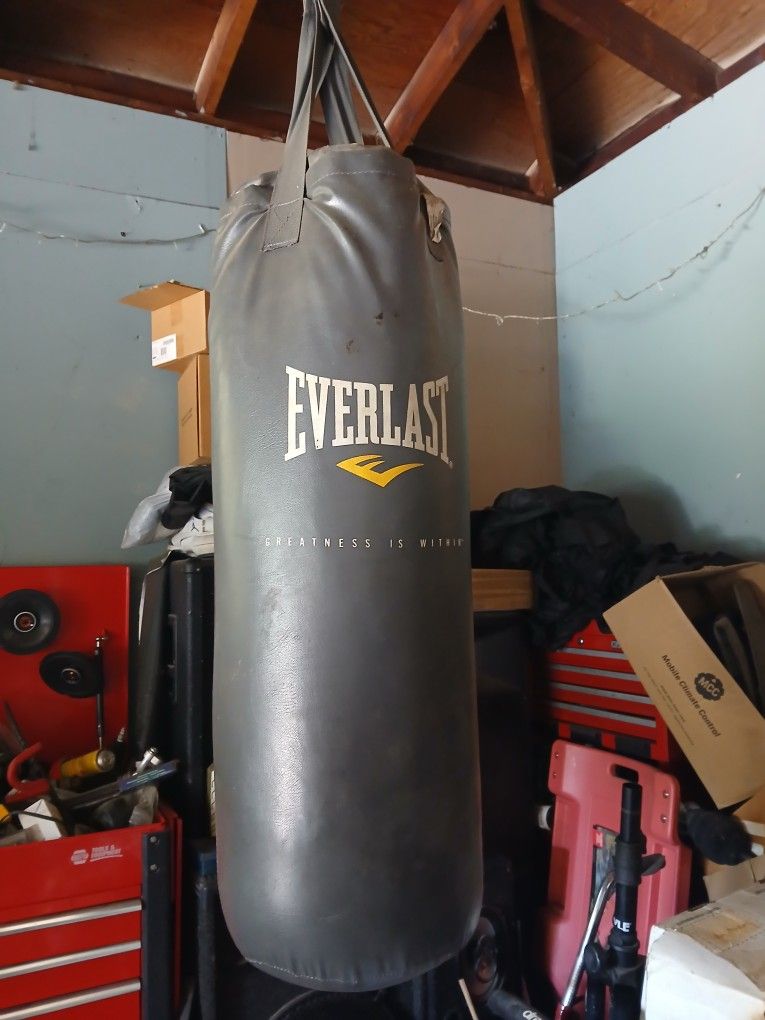Punch Bag