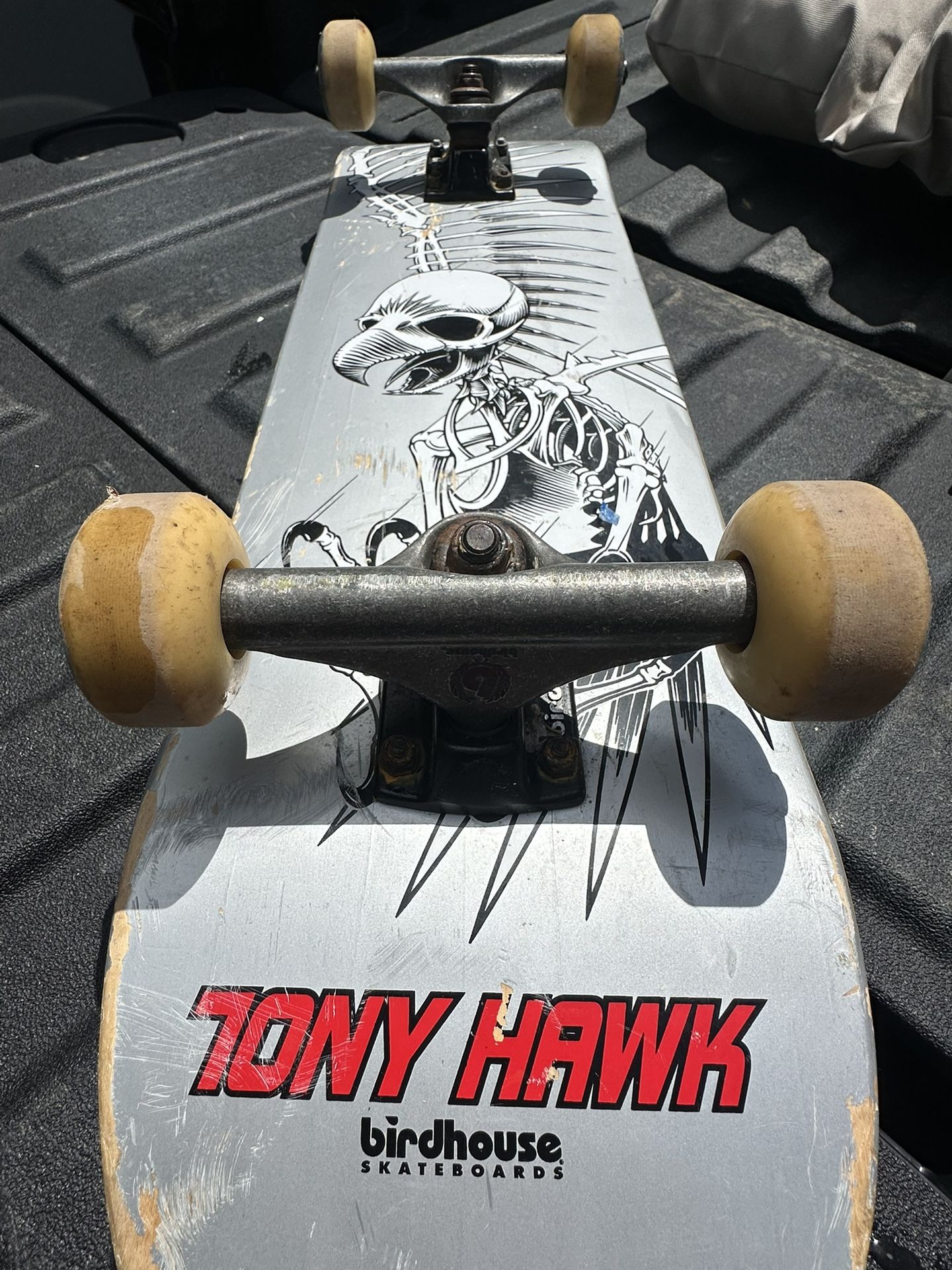 Birdhouse Skateboard