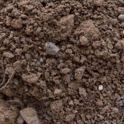 FREE CLEAN DIRT! I DELIVER!!