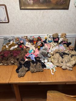 TY bear lot