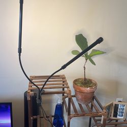 Indoor Plant Lights