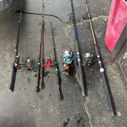 Fishing Rods & Reels Used