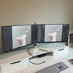 LG 24” Double Monitors