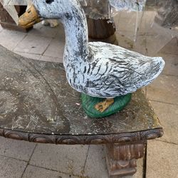Pato De Cemento 