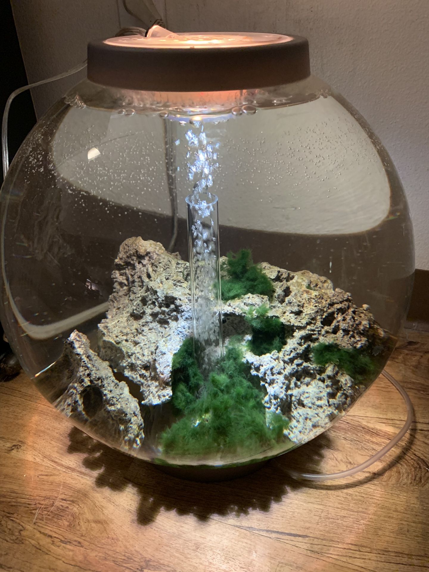Fish tank 8 gallon biorb