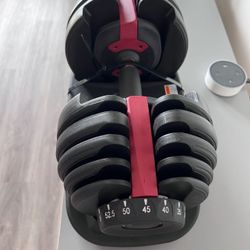 Pair Of Adjustable Dumbbells 