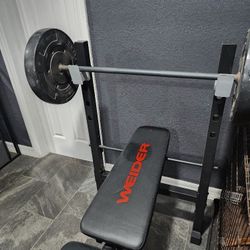 Work Out Bench
