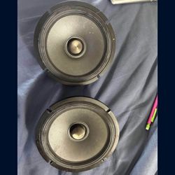 Alpine Bullet Speakers