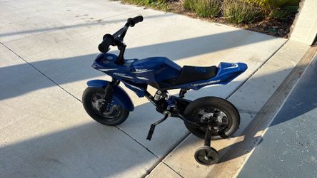 Blue Bike 12 inch