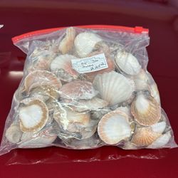 Shells