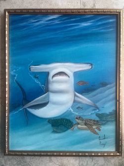 Hammer head shark oil painting by south Florida artist Armando Perez 16”x20”