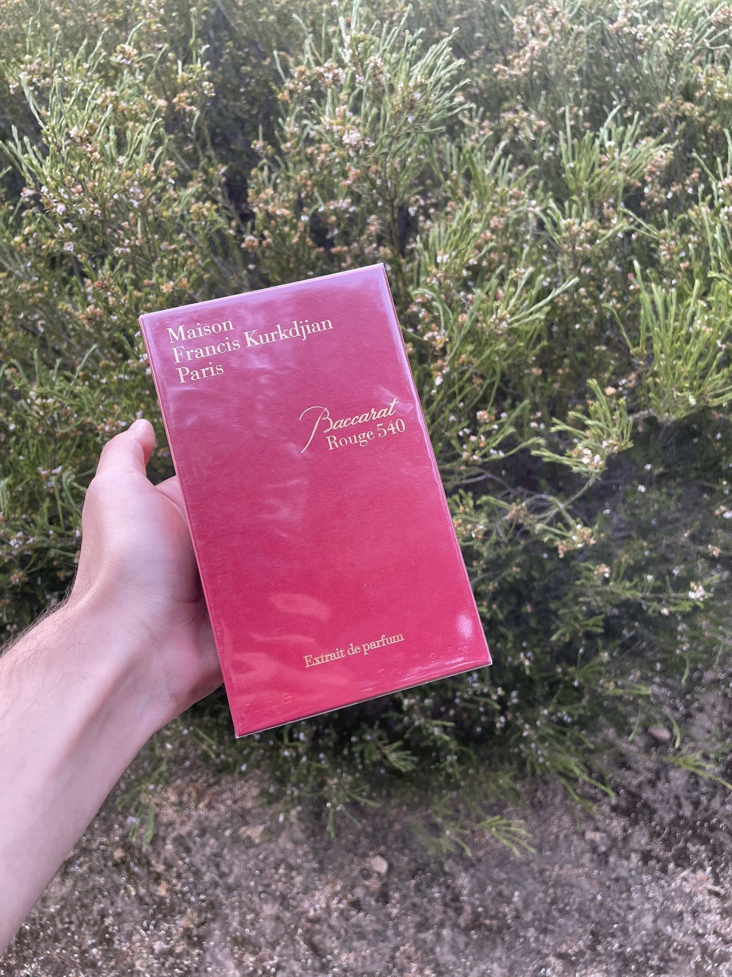 baccarat rouge 540