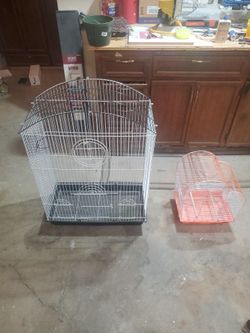 Bird Cage
