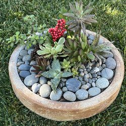 12” succulent planter