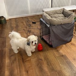 Medium Crate With Cover 