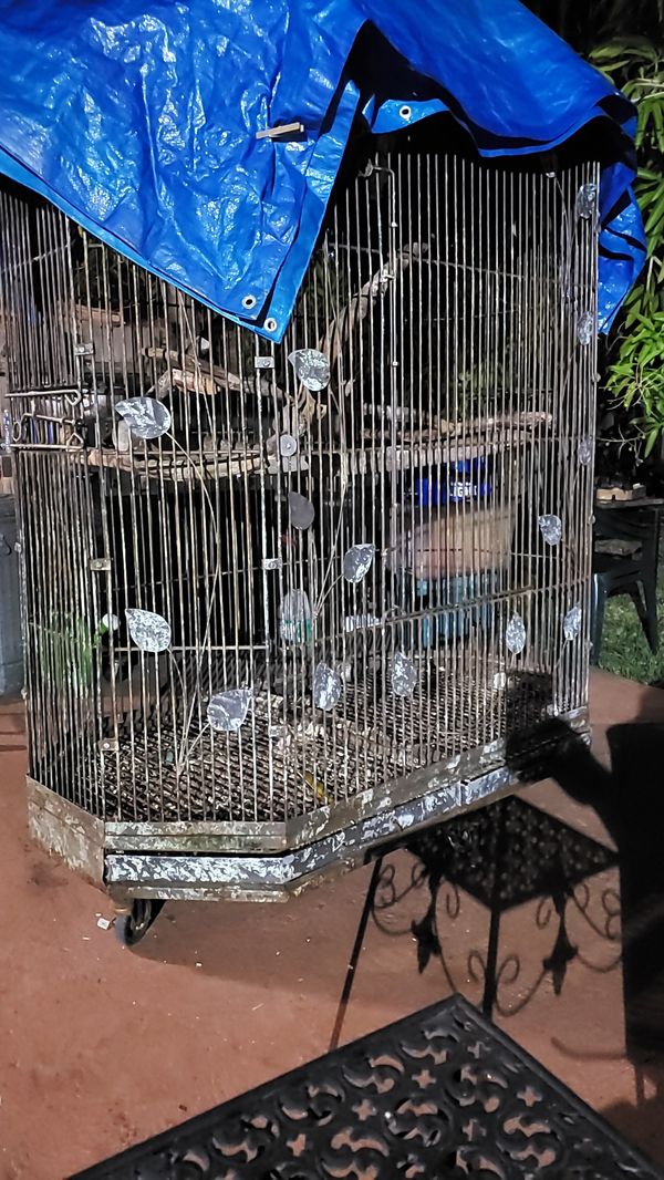 Bird cage for Sale in Miami, FL OfferUp