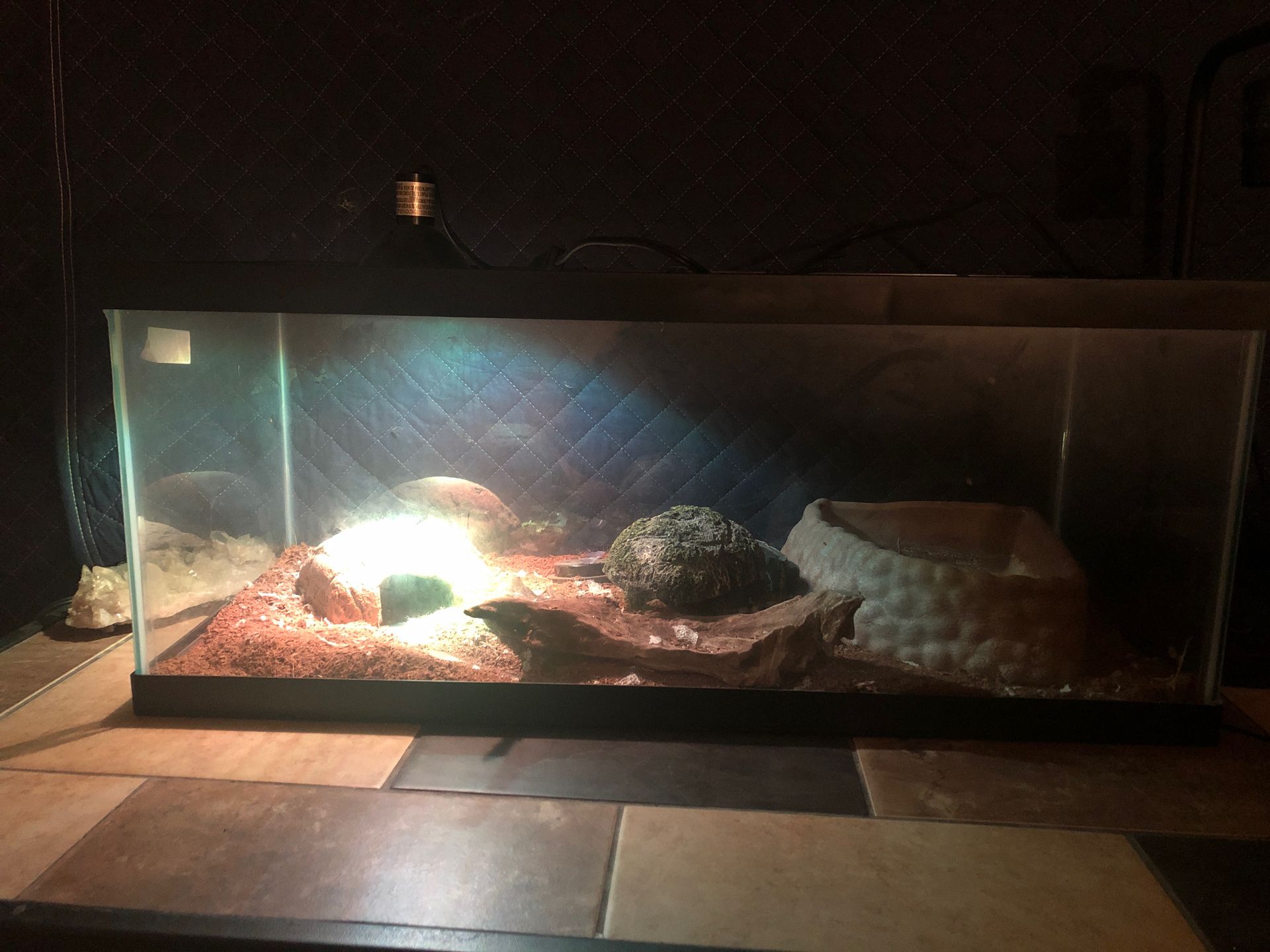 Zilla 20L Premium Snake Kit