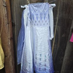 Frozen Costume