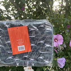 Brand New Shark Lunchbox 