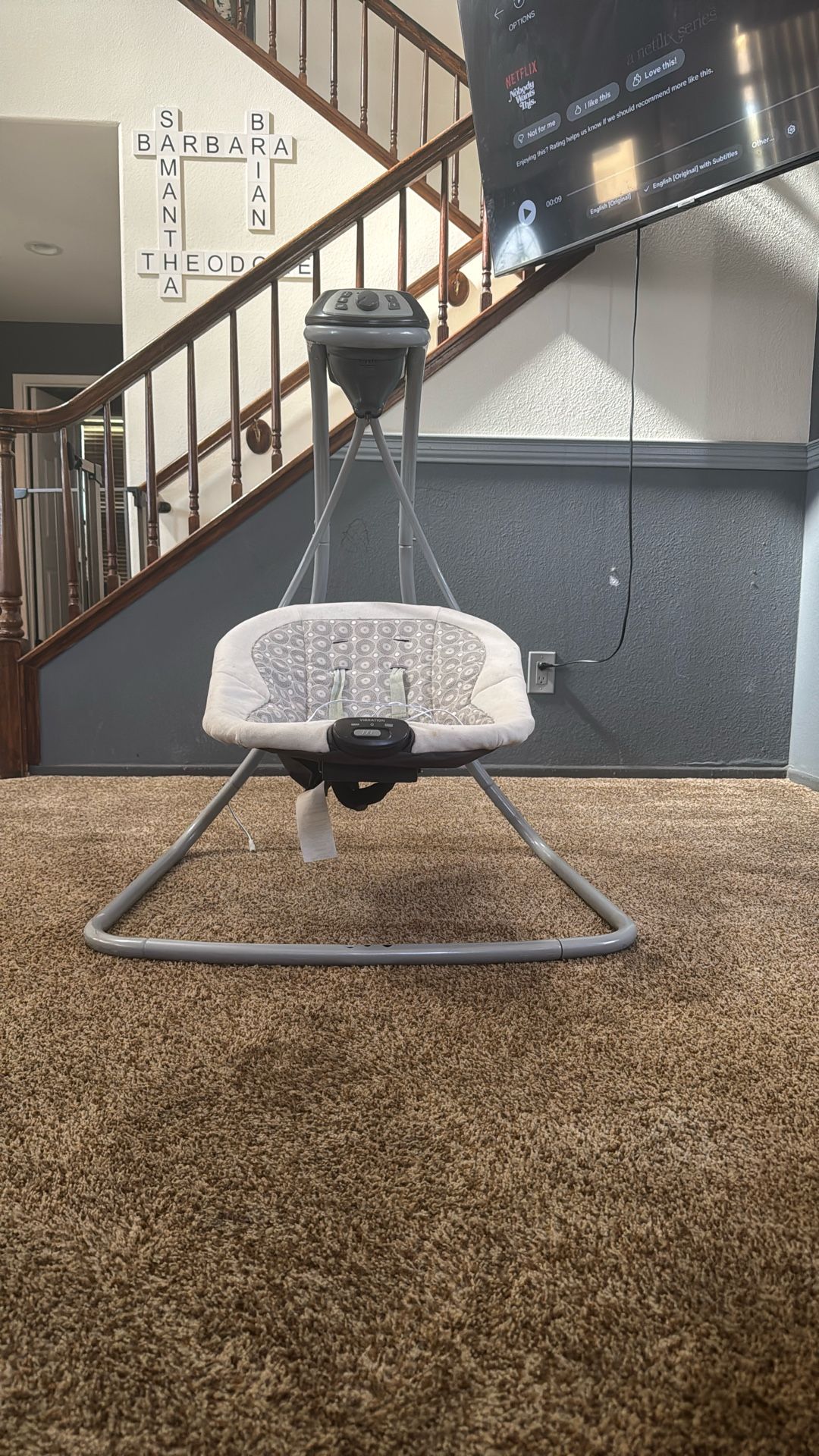 Graco Baby Swing 
