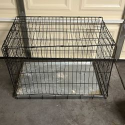 Dog  🐕 Cage 